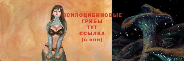 дурь Медногорск